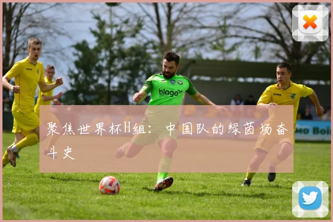 聚焦世界杯H组：中国队的绿茵场奋斗史