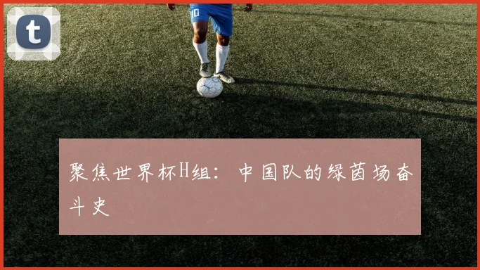 聚焦世界杯H组：中国队的绿茵场奋斗史