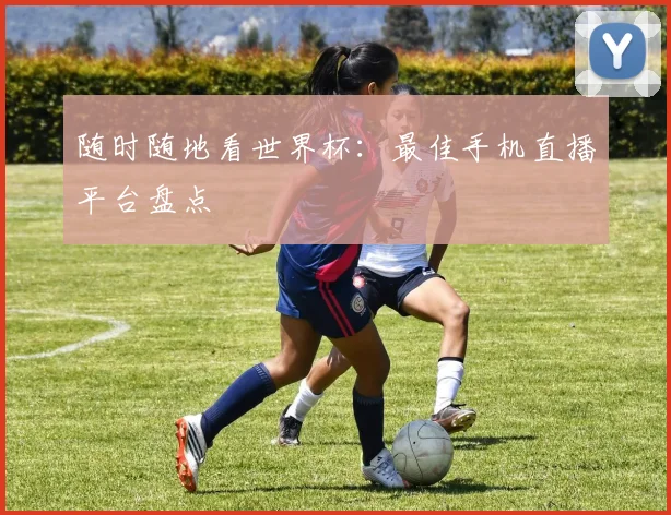 随时随地看世界杯：最佳手机直播平台盘点