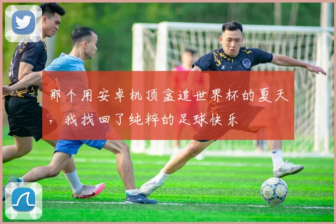 那个用安卓机顶盒追世界杯的夏天，我找回了纯粹的足球快乐