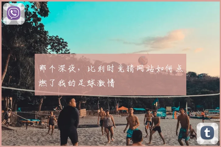那个深夜，比利时竞猜网站如何点燃了我的足球激情