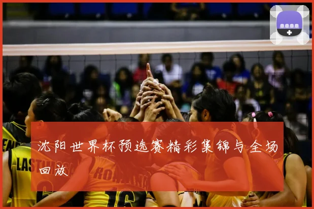 沈阳世界杯预选赛精彩集锦与全场回放